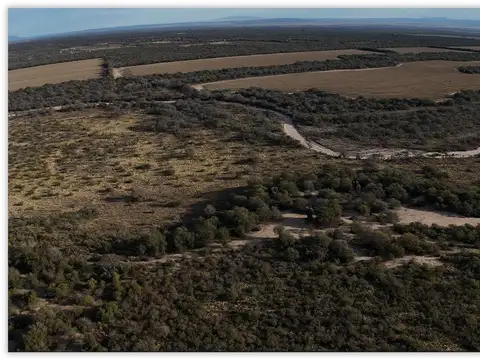 Campo en Venta Agrícola