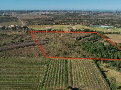 Campo en Venta Chacra