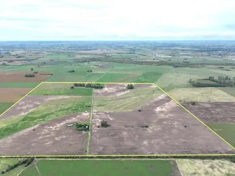 140 Has. Campo mixto con mejoras y arboledas en Mercedes