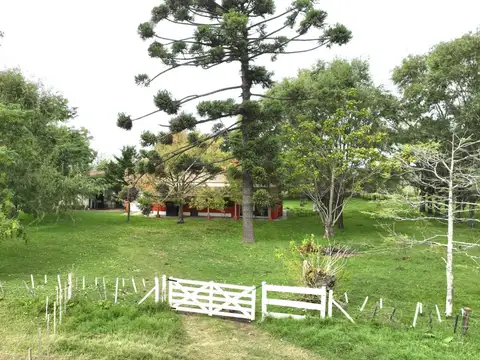 140 Has. Campo mixto con mejoras y arboledas en Mercedes