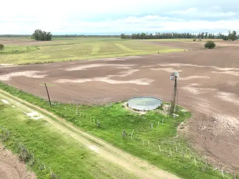 Campo en Venta de 140  ha