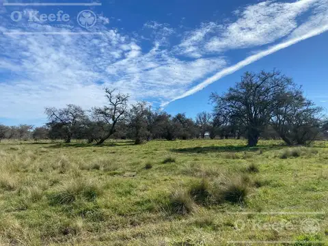 Campo en  venta 295 has Magdalena