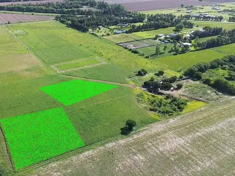 Se vende lote en zona rural de Avellaneda