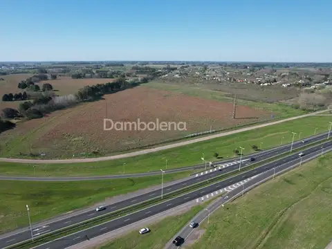 Terreno en Alquiler de 103570,0 m2