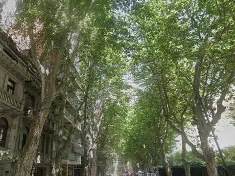 alquiler Edificio Comercial