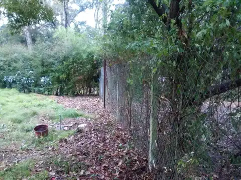 Terreno en Venta 45  mts Fondo