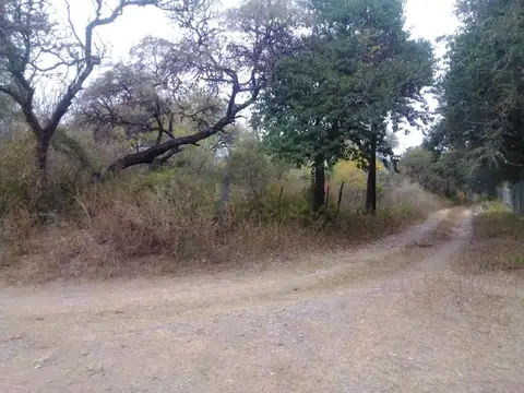 VENDO TERRENO UNQUILLO: " 3 Ha "