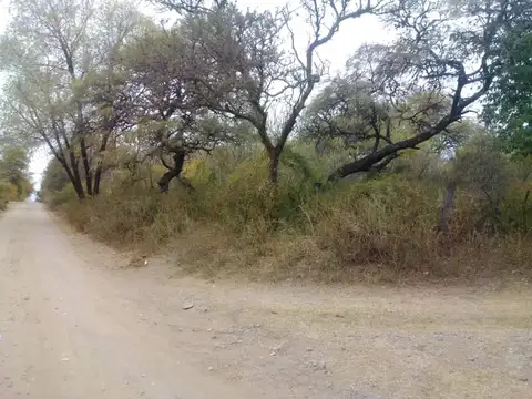 VENDO TERRENO UNQUILLO: " 3 Ha "