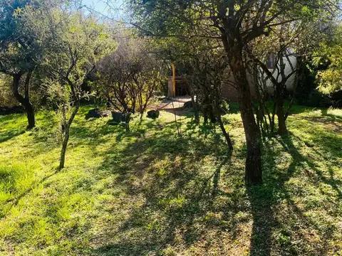 San Javier centro