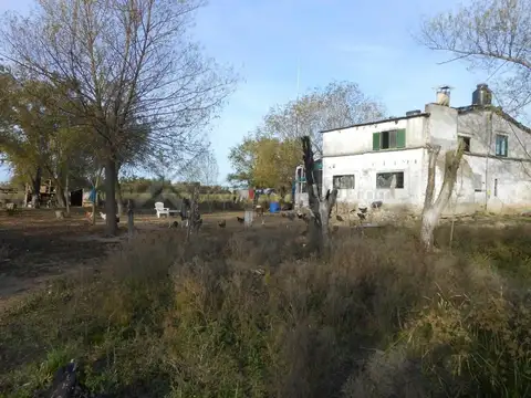 Campo 62 Has. en Isla Aparicio (Isla de Pérez) San Pedro