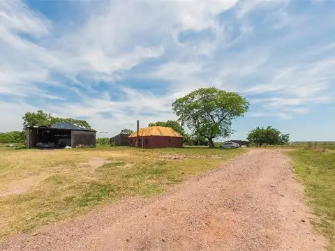 Campo en Venta de 554  ha