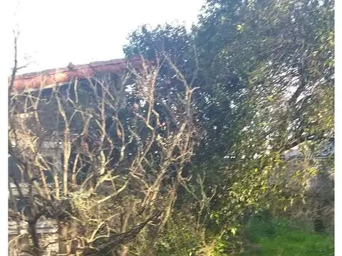 Terreno en Venta, FOT 1,5