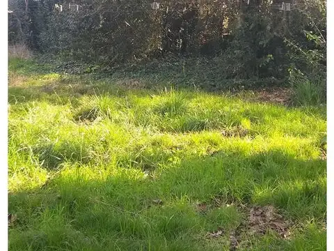 Terreno en Venta de 800,0 m2