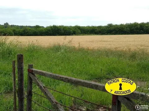 2.8  HAS  RUTA 6 OPENDOOR -AGRICOLA- TAMBIEN 6 HAS
