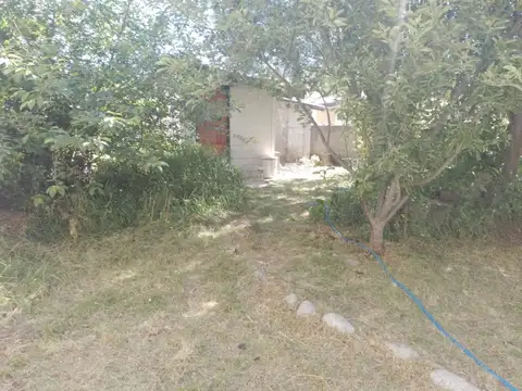 Remedios de escalada 300