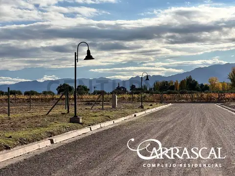 Terreno en Venta en Lunlunta, USD 85.750
