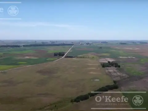 Campo armado mixto Ideal para disfrutar y trabajar