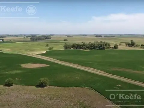 Campo armado mixto Ideal para disfrutar y trabajar