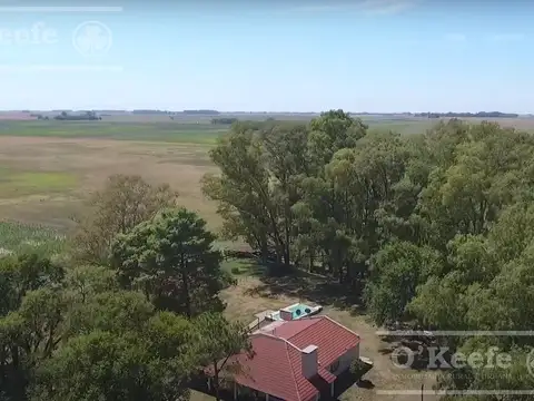 Campo armado mixto Ideal para disfrutar y trabajar