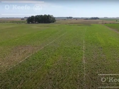 Campo armado mixto Ideal para disfrutar y trabajar
