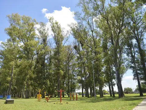 Lotes En General Lagos