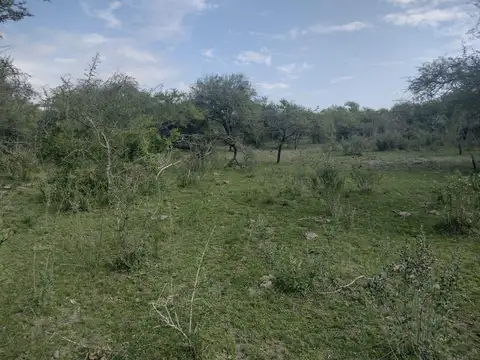 Campo en La Paz, Entre Rios