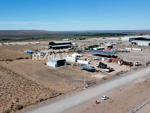 Colombia, Lote 100