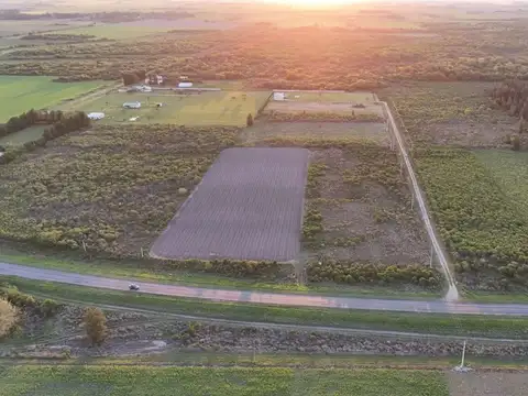 -29.07831, -59.62512