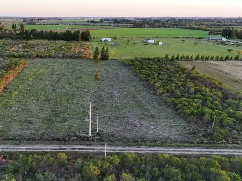 -29.07831, -59.62512