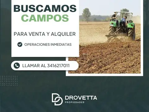 Campo en Monje 36,5 ha
