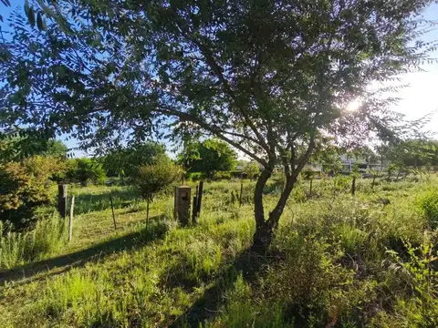 Terreno en Venta de 600,0 m2