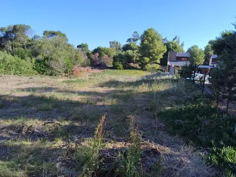 Puleston