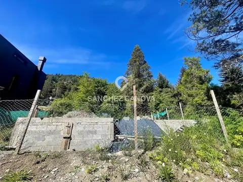 Pioneros 1200