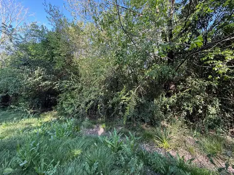 Terreno en Venta de 500,0 m2