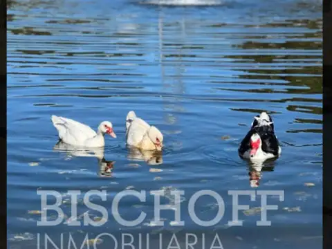 Terreno en Venta de 709,0 m2