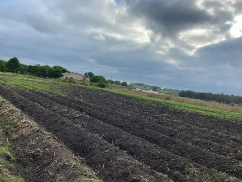 Terreno en Venta en Progreso, USD 100.000