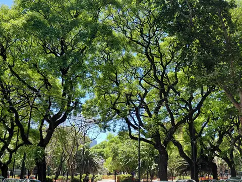 Monoambiente AMOBLADO - excelente ubicación.