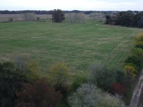 Campo en venta en General Rodríguez