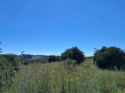 Terreno en Venta en Villa Berna, USD 75.000