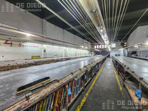 Valentin Vergara al 4600