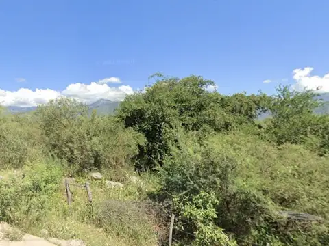 Terreno en Venta de 989,0 m2