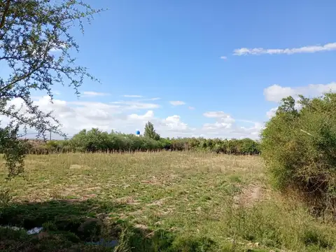 Terreno en Venta de 10000,0 m2