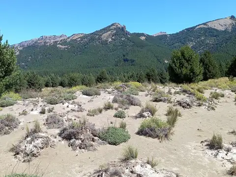 Terreno en Venta en Meliquina, USD 24.500