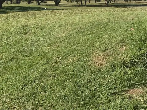 Terreno en Venta de 470,0 m2