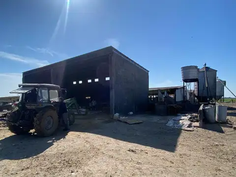 Campo en Venta de 6  ha
