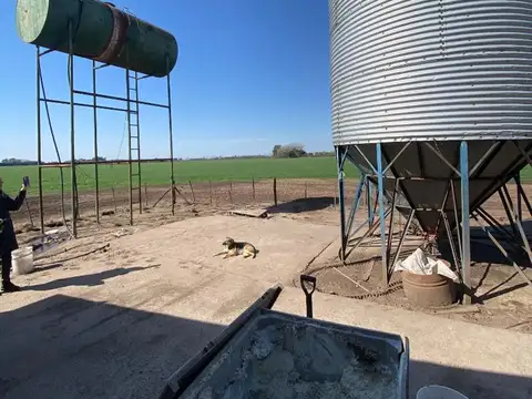 ESTABLECIMIENTO DE CRIADERO DE CERDOS PARA 350 MADRES