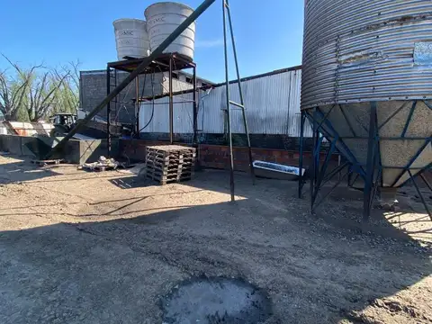 Campo en Venta Ganadero