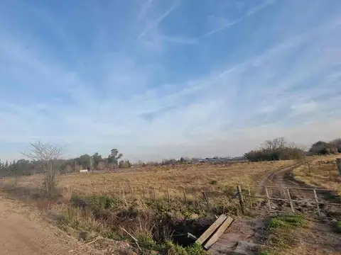CAMPO EN VENTA LA PLATA