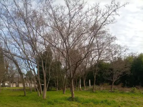 Terreno en Venta en El Jaguel, USD 290.000