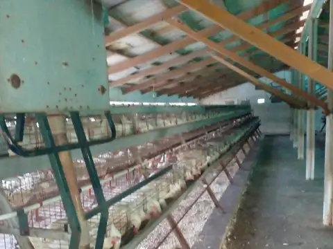 Fondo Comercio en Venta en Mar del Plata, USD 1.000.000